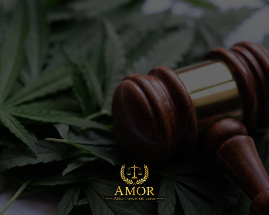 Understanding the Importance of Cannabis and Hemp Laws